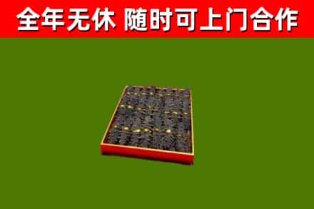 株洲回收海参